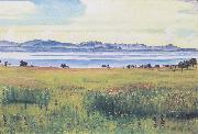 Ferdinand Hodler Lake Geneva from St Prex (nn02) oil on canvas